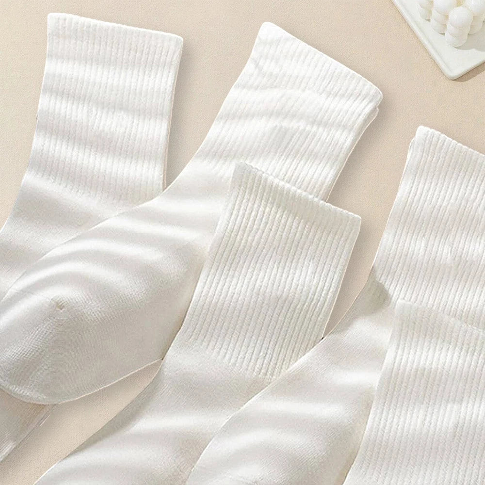 5 Pairs Women PDV socks