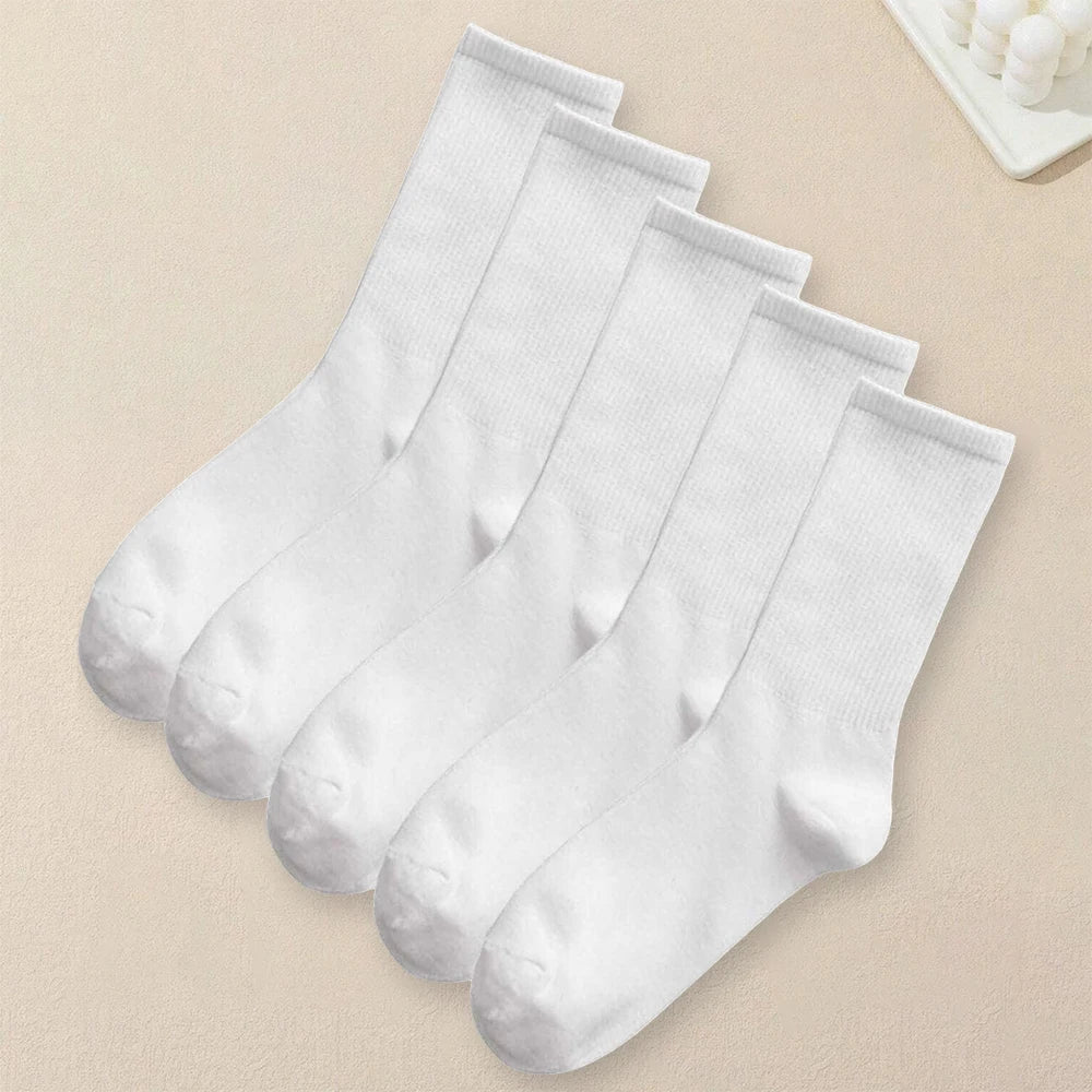 5 Pairs Women PDV socks